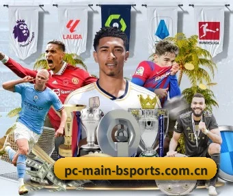 b体育官方网站 APP(BSPORTS)