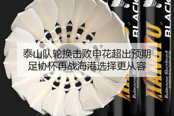 泰山队轮换击败申花超出预期 足协杯再战海港选择更从容 | BSPORTS