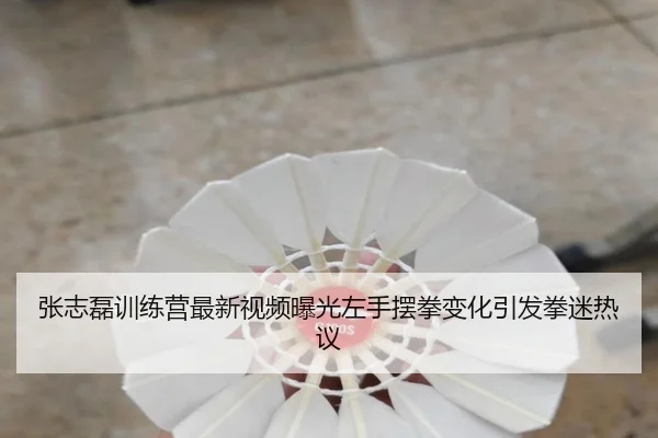 张志磊训练营最新视频曝光左手摆拳变化引发拳迷热议（BSPORTS）